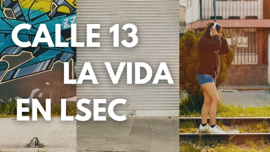 Intérprete en Lengua de Señas Ecuatoriana realizando una interpretación de "La Vida" de Calle 13, promoviendo la accesibilidad musical para la comunidad sorda.