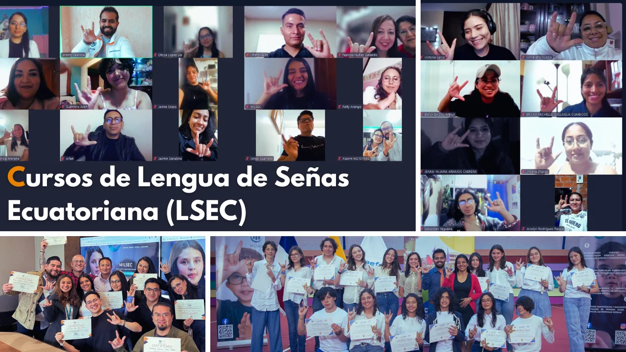 Cursos Milsec